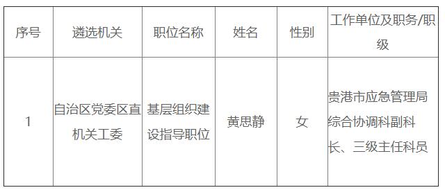 自治區(qū)黨委區(qū)直機關工委.jpg