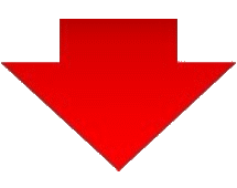 4886162_orig.gif